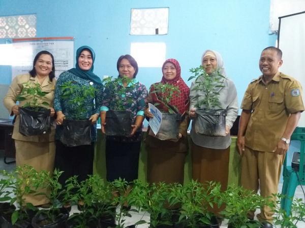 DKP3 Bontang Galakkan Pembinaan dan Pendampingan ke Petani Cabai
