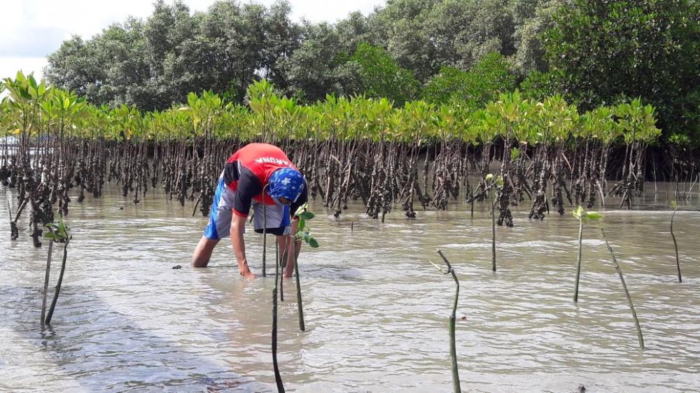 Peringati Hari Bumi, Politeknik KP Bone Adakan Giat Peduli Pesisir