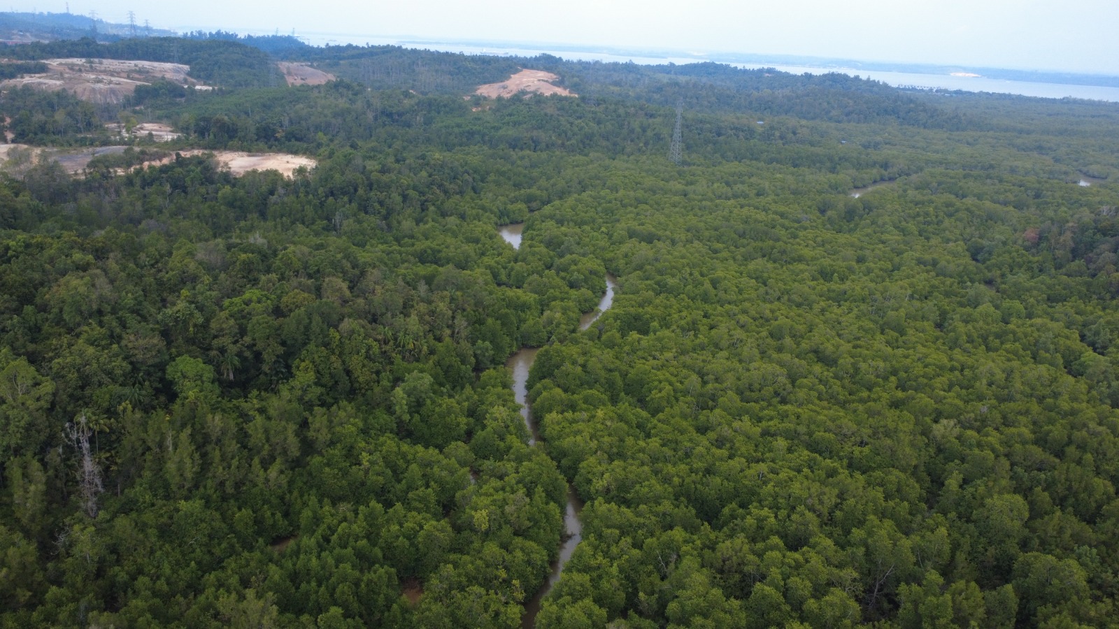 Foto udara Hutan Lindung Sungai Wain (HLSW) di Balikpapan Utara. (Foto : Eksposkaltim/Erik)