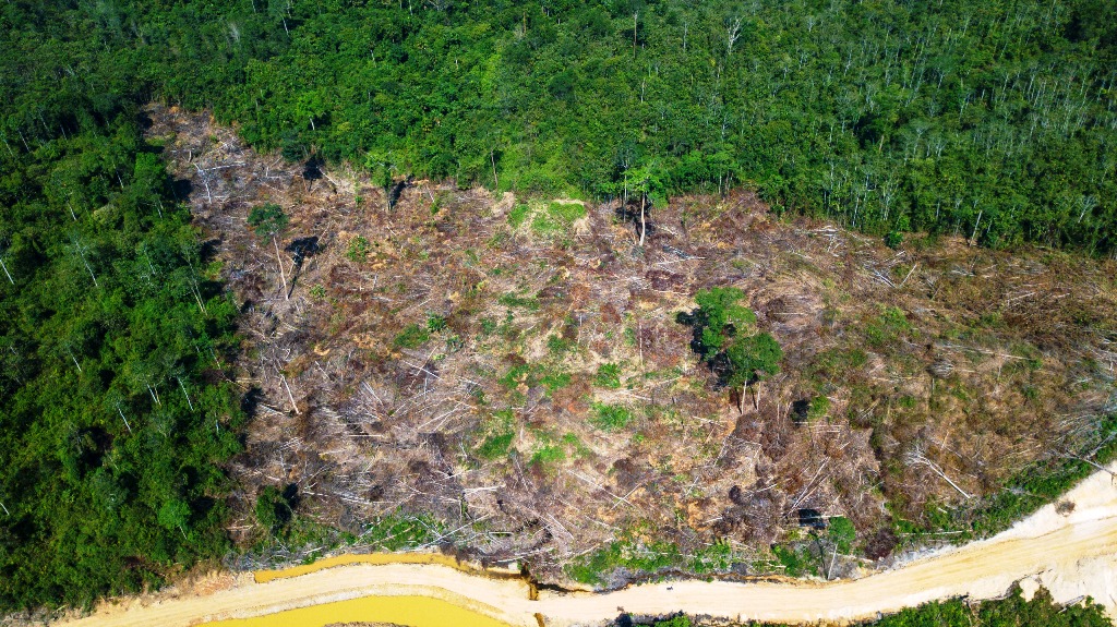 Temuan lama Pokja Pesisir mengenai aktivitas pembukaan lahan di hutan lindung Sungai Wain. Foto: Pokja