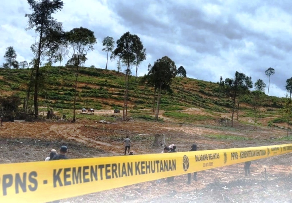 Tim Penegakkan Hukum Kehutanan Kalimantan memasang garis polisi di lokasi perambahan HLSW, Desember 2025. (Foto : Gakkum Kehutanan Kalimantan)