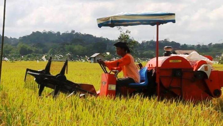 Darurat Pangan Mengancam, Kaltim Genjot Area Tanam