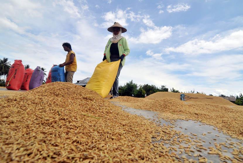 Bagaimana Menyelamatkan Gabah Petani?