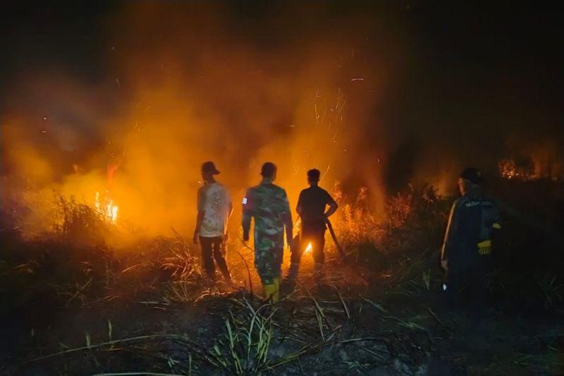 Api di Sekitar IKN Belum Terjelaskan, Kebakaran Lahan di Sepaku Capai 6 Hektare