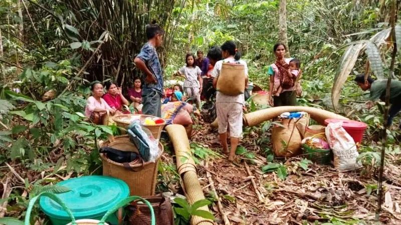 Kontroversi Taman Nasional Meratus: Masyarakat Adat Teriak Pelecehan!