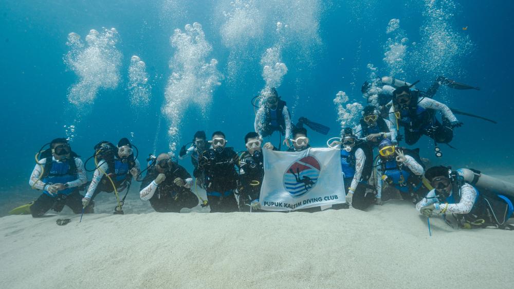 Pupuk Kaltim Turunkan Media Terumbu dan Tukik di Maratua, Bukti Komitmen Jaga Ekosistem Perairan