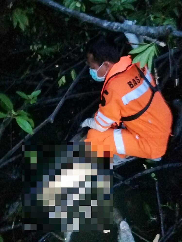 Sesosok Mayat Tanpa Identitas Ditemukan Terjepit di Pohon Bakau