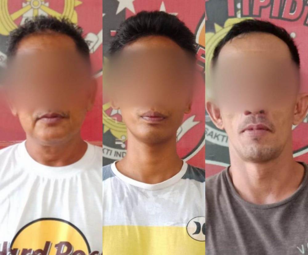 Oalah, Nekat Amat 3 Warga Bone Ini, Bibit Jagung Bantuan Kok Dijual