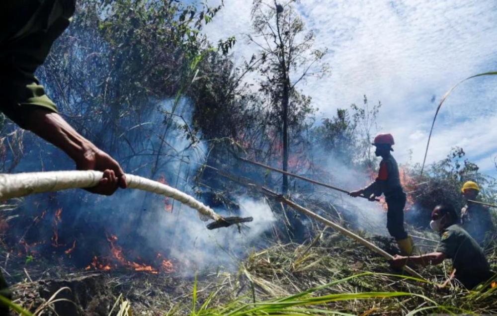 Kaltim Waspada Karhutla,Titik Panas Meningkat 