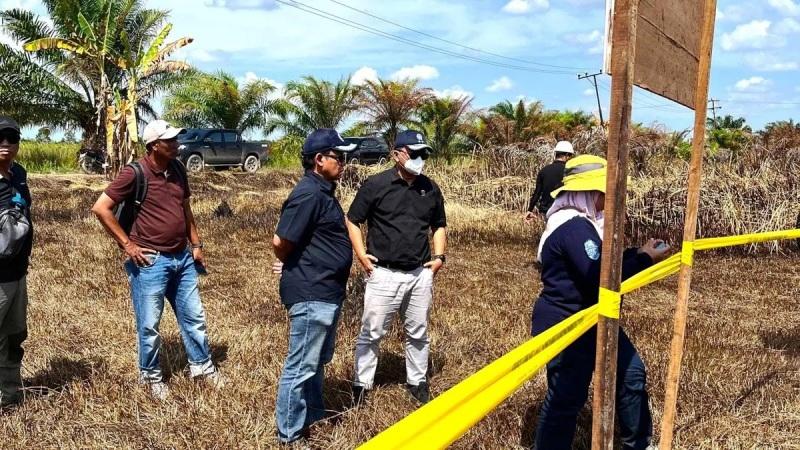 KLH Segel 1 Perusahaan di Kalsel Buntut Meluasnya Karhutla