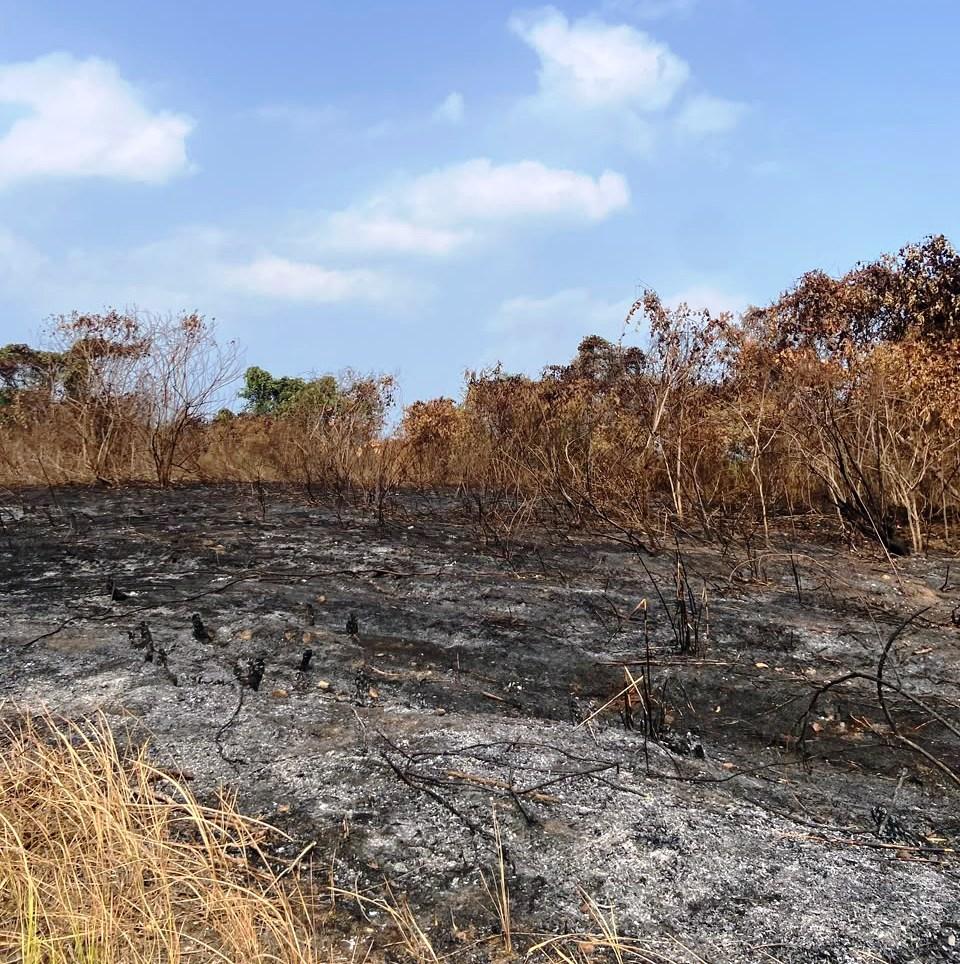 El Nino Sangat Kuat, Lima Wilayah Paser Dua Bulan Tak Diguyur Hujan