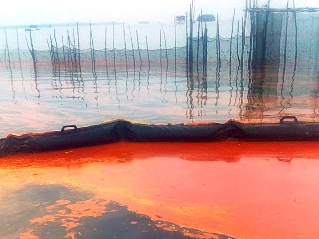 Laut Tercemar, Pejabat di Bontang Blokir Jurnalis