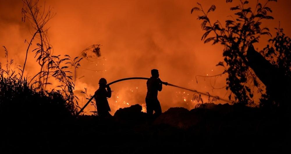 Karhutla Meluas di Kalimantan, Kalteng Terparah 