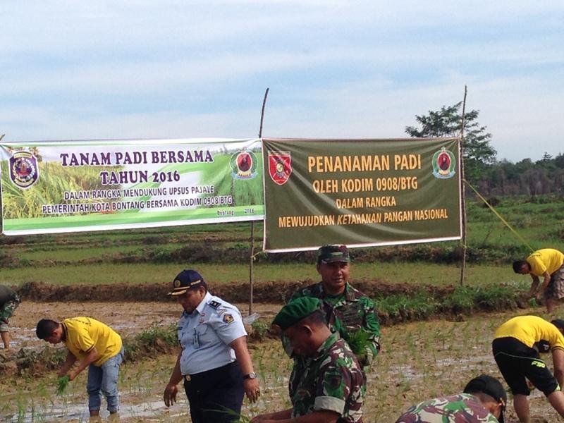 KODIM 0908/BTG DAN LAPAS BONTANG, TANAM PADI DI LAHAN WARGA NYERAKAT KIRI