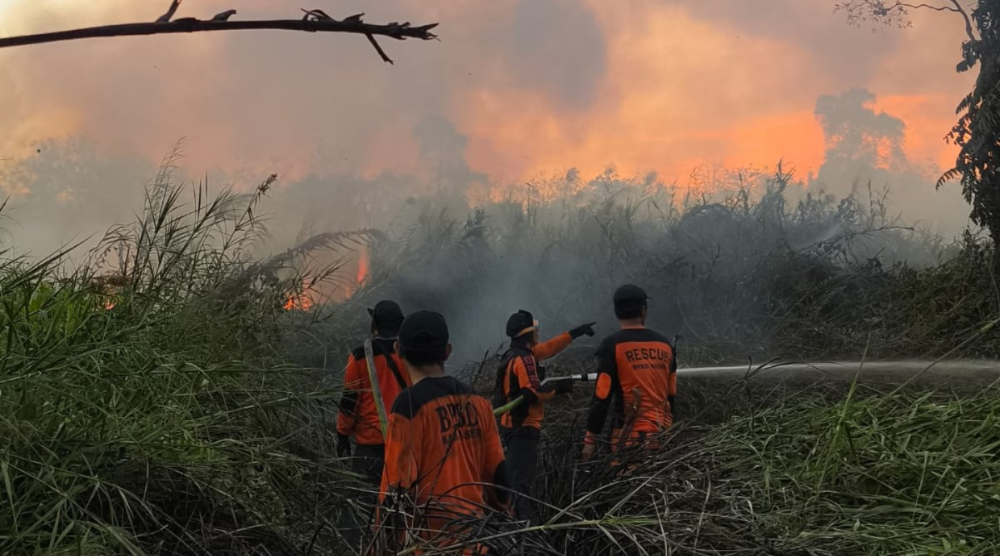 Karhutla Mengganas di Kalimantan, BNPB Catat 1.487 Titik Panas