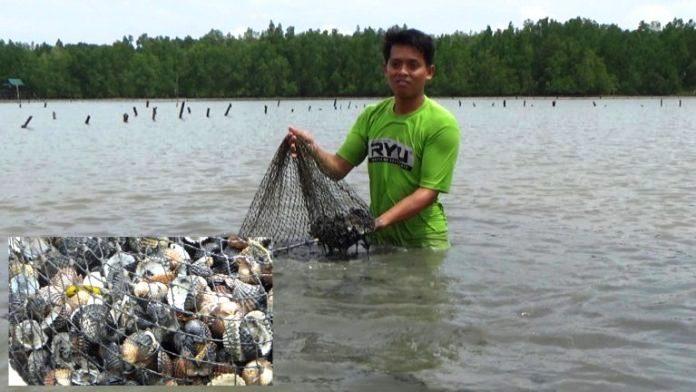 Pertamina Menunggu Sanksi KLH atas Kasus Muara Badak