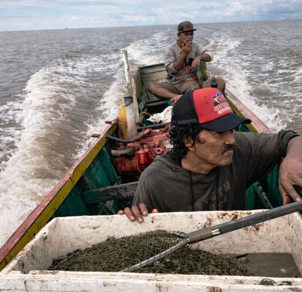 TPH Ditemukan, Gugatan Dibatalkan: Nelayan Muara Badak Merasa Ditinggalkan Negara