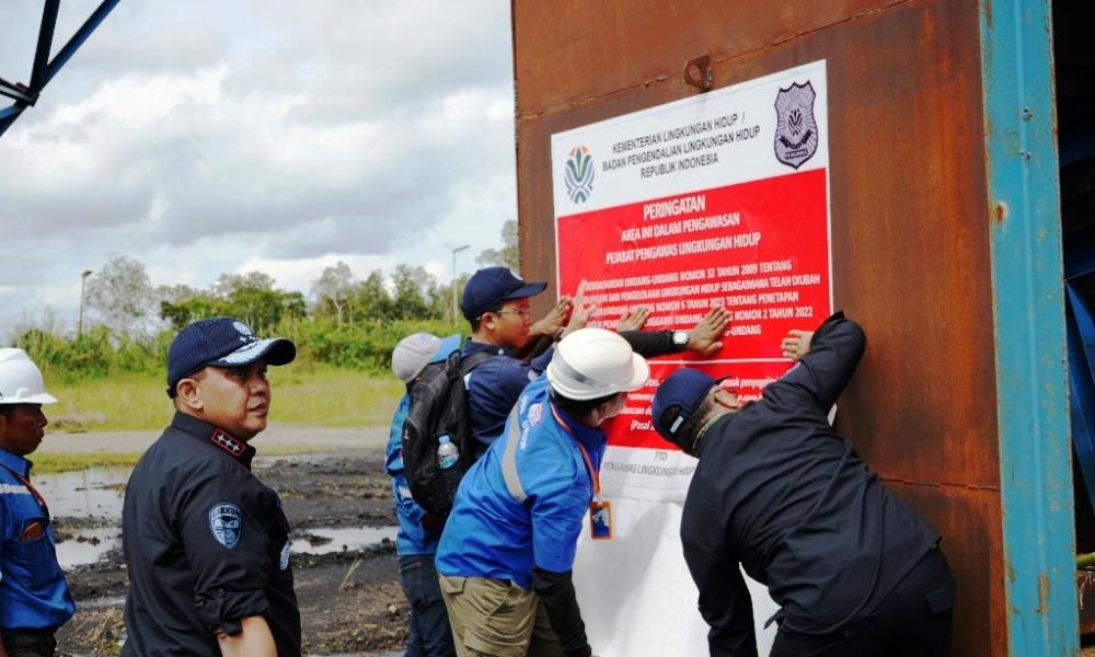 Ancaman Pesut Mahakam, KLH Setop Operasional Dua Perusahaan