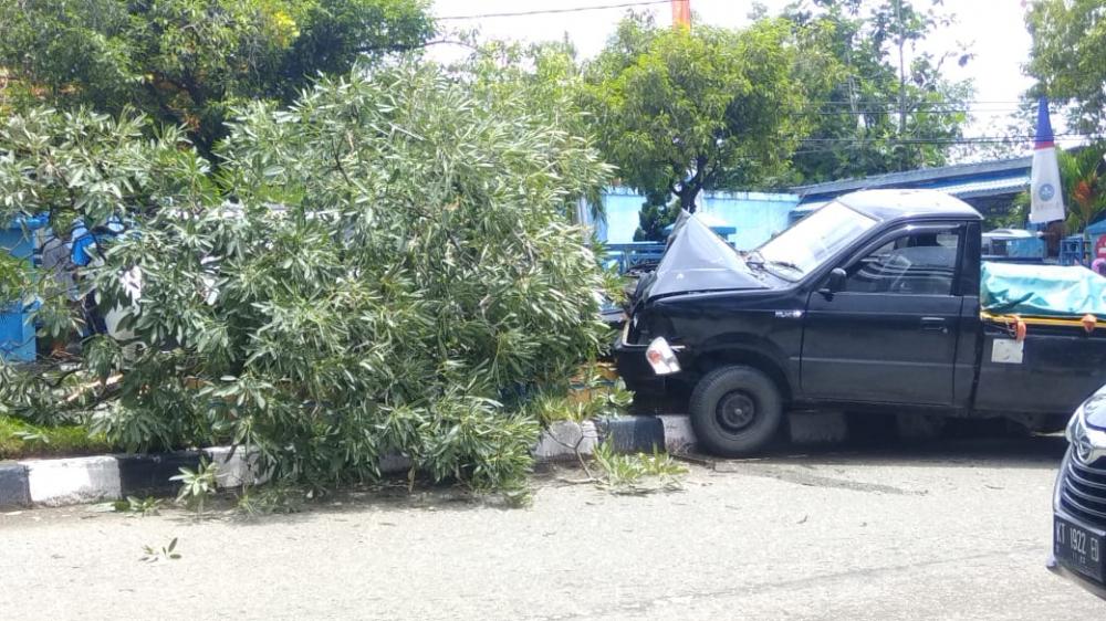Diduga Mengantuk, Mobil Kijang Seruduk Pohon Bagian Jalan