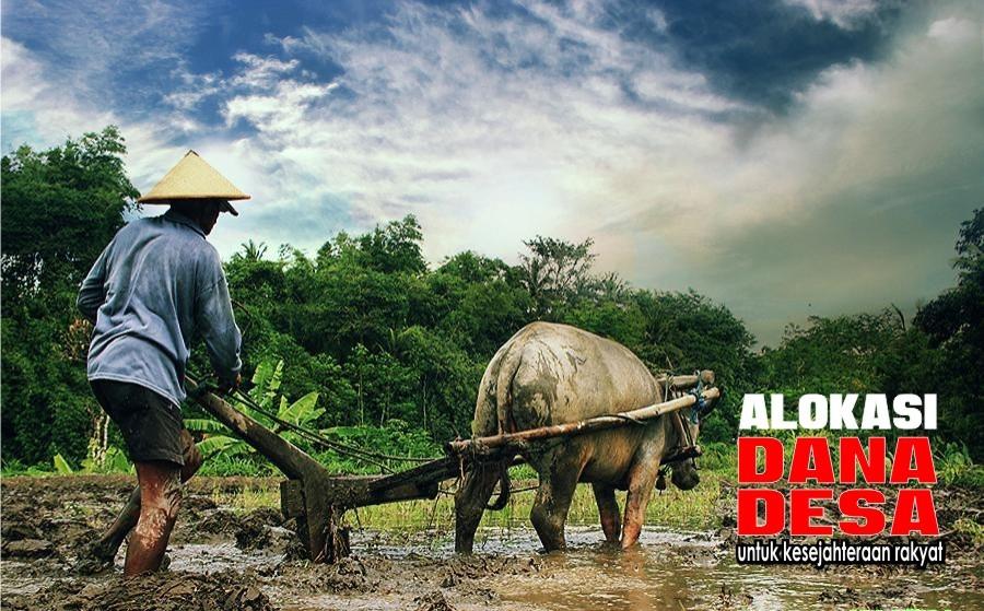 DI TAHUN 2017 ALOKASI DANA DESA MENGALAMI KENAIKAN 30 TRILIUN