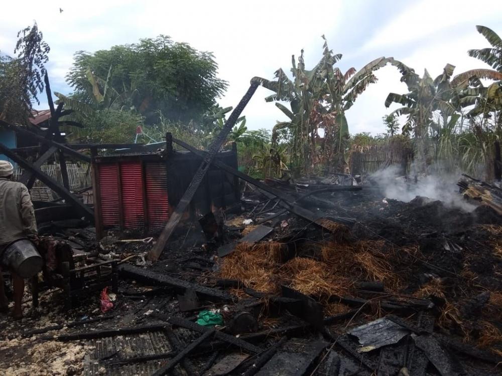 Si Jago Merah Ngamuk di Bone, Rumah dan Kandang Sapi Ludes