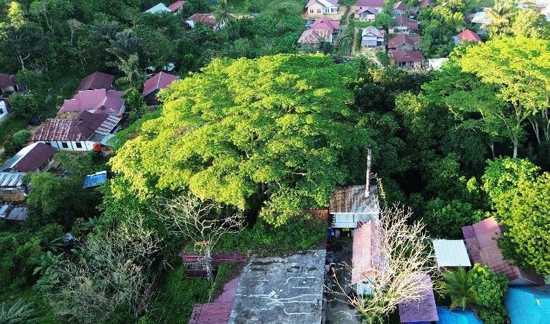 Wawali Bontang: Insinerator RSUD Tanpa Izin Harus Setop Operasi