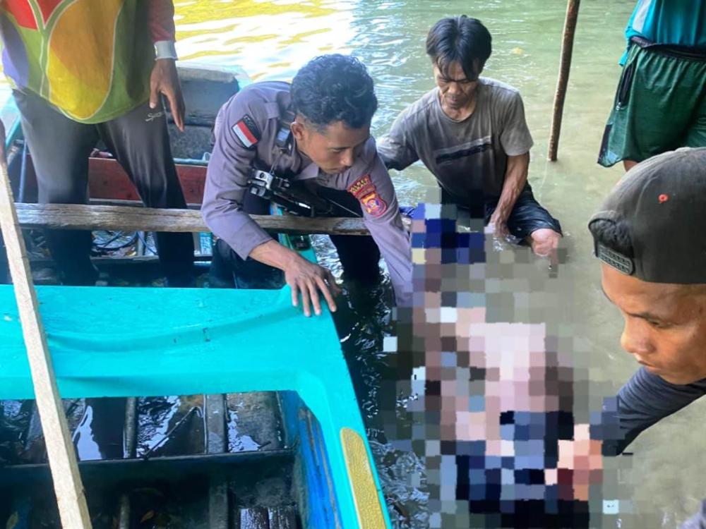 Mencari Kerang untuk Keluarga, Nelayan Maratua Tewas Diterkam Buaya