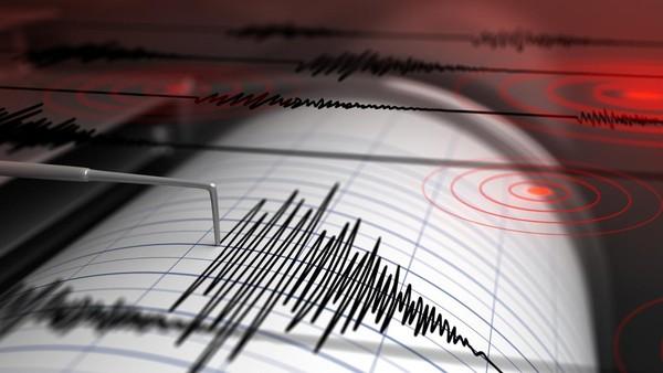 Gempa Guncang Berau: Terasa hingga Kaltara