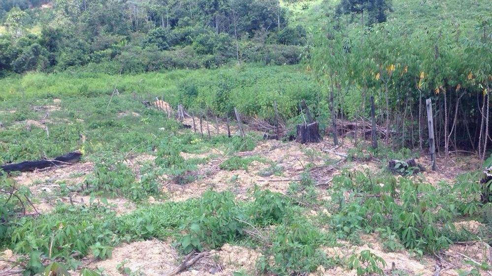 Dugaan Mark Up Rumah Potong Unggas di Km 13, Polisi Lakukan Gelar Perkara ?