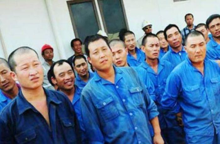  Antisipasi Tenaga Kerja Asing Ilegal, Pemprov Kaltim: Perusahaan Wajib Laporkan Data Karyawan