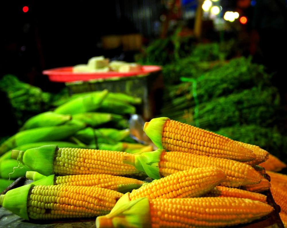 Strategi DKP3 Bontang Amankan Stok Pangan Lokal