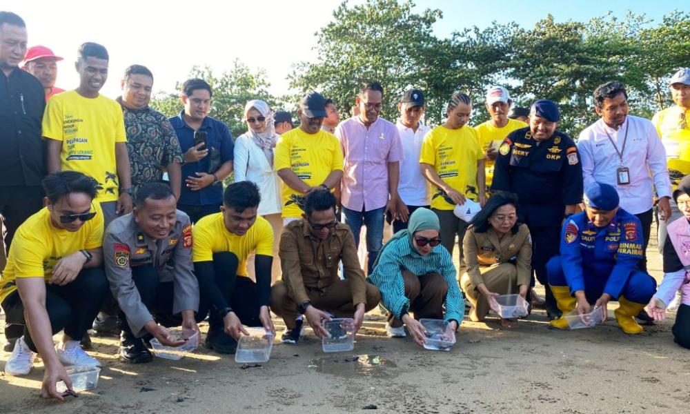 Saat 80 Tukik Menjadi Alasan Balikpapan Tolak Reklamasi 