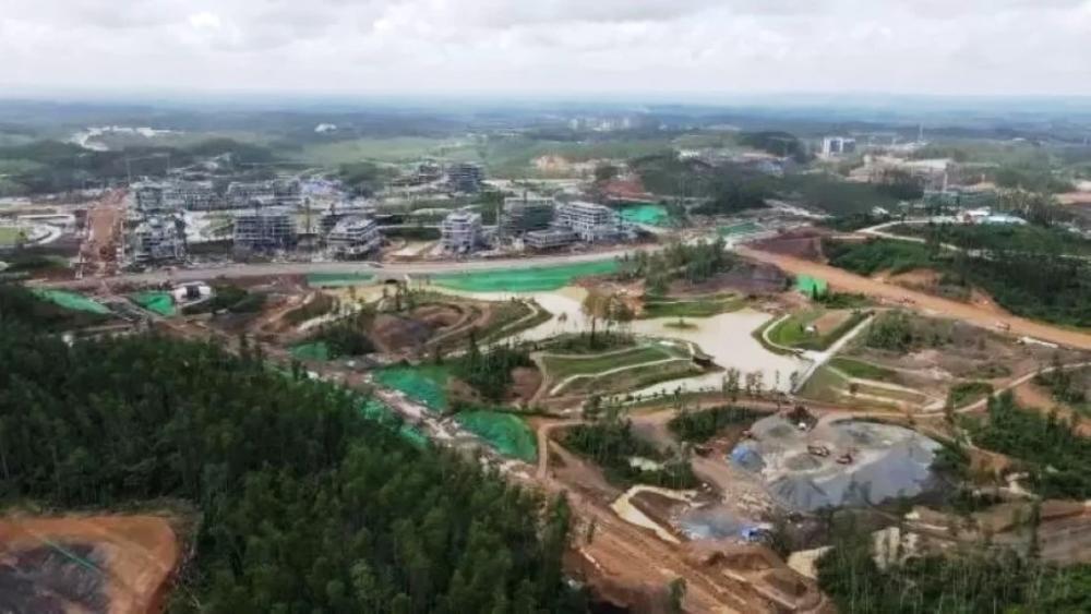 124 Ribu Hektare Lahan Kritis Bayangi Target Hutan IKN