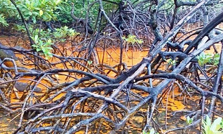 Limbah Cemari Laut Bontang, PT EUP Enggan Ganti Rugi Nelayan