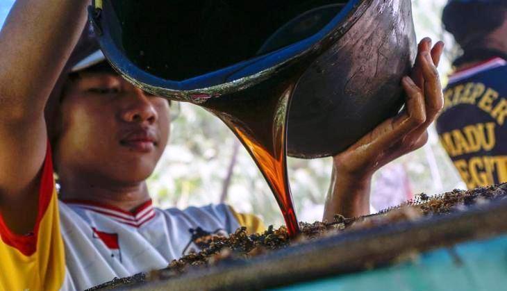 Cerita Hutan dan Manfaat Ekonomi bagi Masyarakat tanpa Menebang Pohon