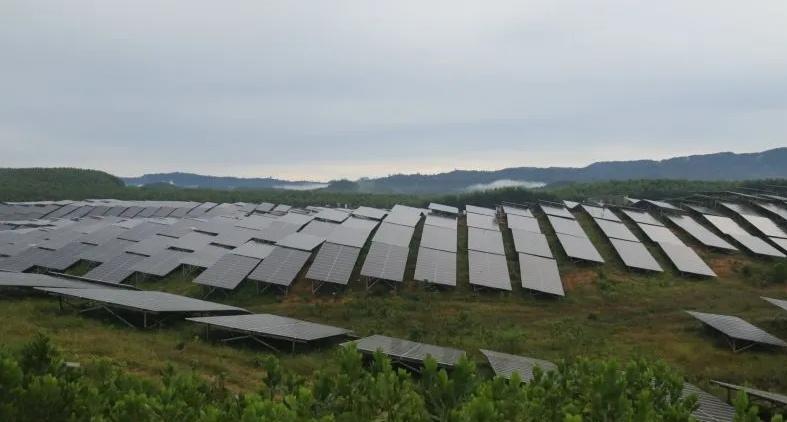 Tinggalkan Batu Bara, Kaltim Bidik 20.026 MW Energi Terbarukan untuk Topang IKN