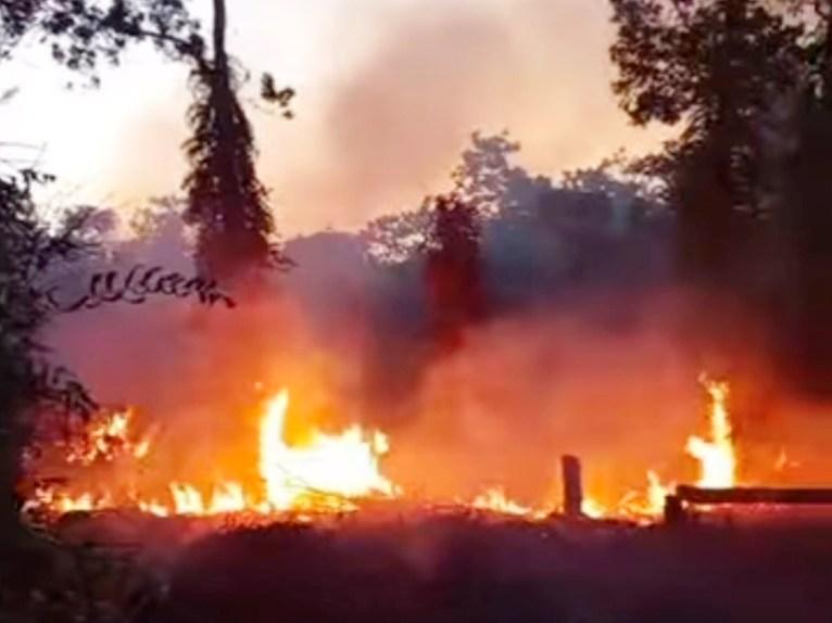 23 Kali Lahan Terbakar di Samarinda, BPBD: Ulah Manusia Jadi Pemicu 