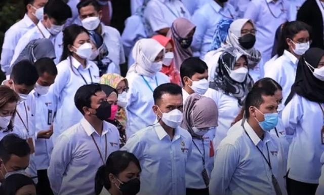 EKSPOSKALTIM - Honorer Penajam Menanti, 1.705 THL Diusulkan Jadi PPPK Paruh Waktu