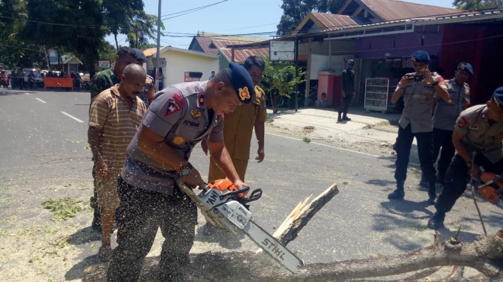 Tim SAR Gabungan Kembali Babat Pohon Rentan Tumbang