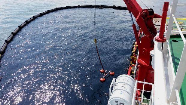 Gunakan Teknik Ini, Pembersihan Minyak di Teluk Balikpapan Berlanjut