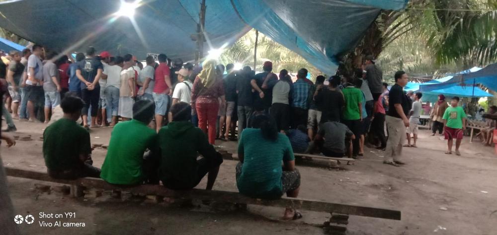 Marak Sabung Ayam, Ketua DPRD Bontang Desak Kepolisian Bertindak Tegas