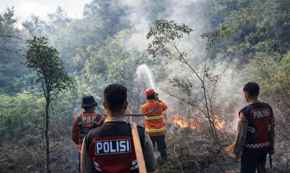 Kaltim Berisiko Tinggi Karhutla, 77 Hotspot Terdeteksi di Paser hingga Kutim