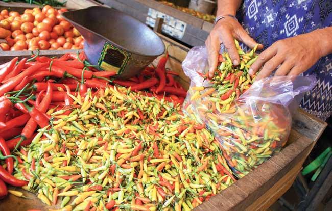 Harga Cabai Ditentukan “Bandar”