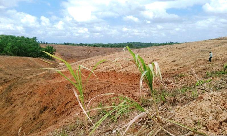 IKN dan Soal Tata Ruang: Mengapa Lahan Bank Tanah Belum Bergerak