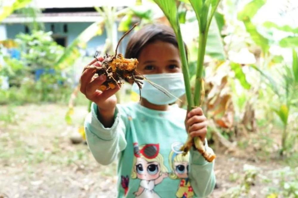 Temuan Baru, Bakteri di Kunyit Bisa Jadi Obat Antikanker