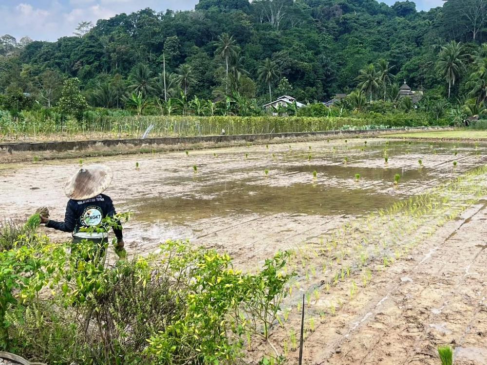 Kaltim Bergantung pada Tambang, tapi Bukan Penampung Pekerja Terbesar