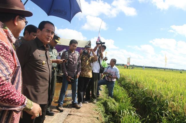 PEMPROV KALTIM PACU PENINGKATAN PRODUKSI PADI DENGAN ATABELA