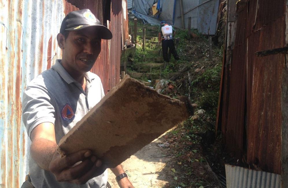 Masuk Pancaroba, Ribuan Ulat Serbu Rumah Warga di Balikpapan