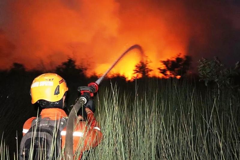 Karhutla Bayangi Kalsel hingga 18 Agustus