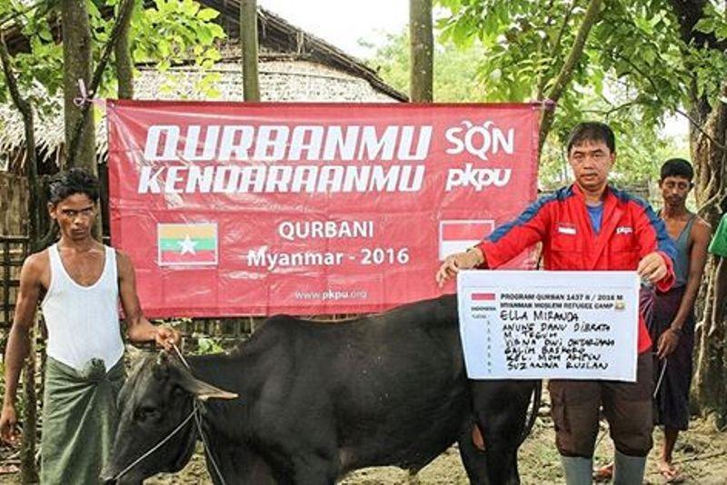 Selain Murah, Ini Beberapa Keuntungan Berkurban Melalui PKPU HI Kaltim